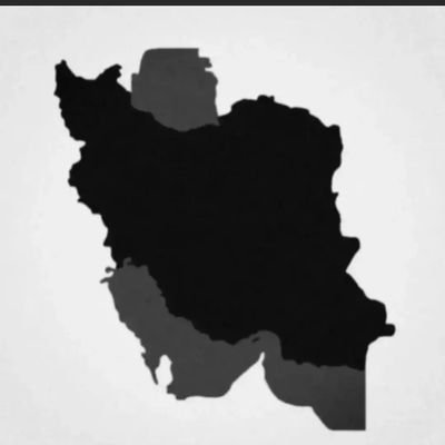 sharare81939242's profile picture. 