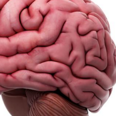 FImlearning's profile picture. 