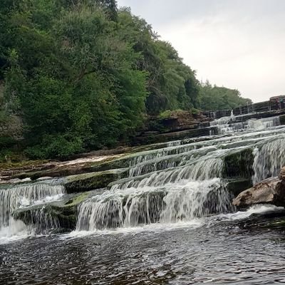 SH16133893's profile picture. 