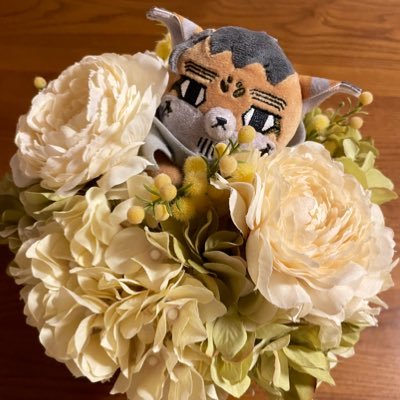 尾ｶﾞﾀに心を撃ち抜かれた30↑。とはいえ箱推し、みんなだいすき。何でも見ます。何でも好きです。雑食です。手芸部に所属したく刺繍もミシンも編み物も手を出しています。日常の話もします。フォゼ尾に夢中。死んだ気になってはいないけどロシア語勉強始めました。無言フォロー失礼します。