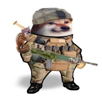 Papa Bonk🇷🇴🇺🇦🇩🇪 (@costincatalin01) 's Twitter Profile
