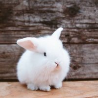 Kyesa 🐦 (@its_kyesa) 's Twitter Profile Photo Kyesa 🐦 (@its_kyesa) 's Twitter Profile Photo