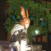 Sybil@FF14anima鯖 (@kyouya_ff14) Twitter profile photo Sybil@FF14anima鯖 (@kyouya_ff14) Twitter profile photo
