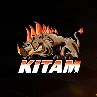 The_Kitam's profile picture. https://t.co/rfS6WxCkm8