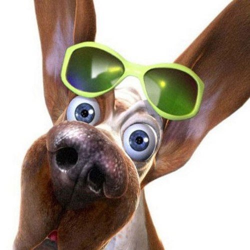 arrudabre's profile picture. 