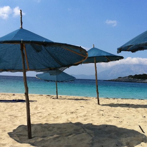 tricknn's profile picture. Live on un-ceded Eora land. We need climate action and to stop DV. Always was/will be Aboriginal Land.