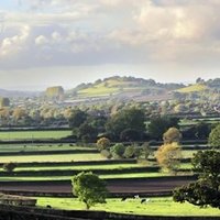 Scrumpy222 (@scrumpy222) 's Twitter Profile