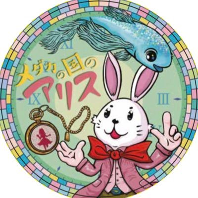 6月27日 Twitter開始😆少しアイコン変更しましたので皆様宜しくね🫣メダカ販売＆オーダータモも受付中😘少し安く提供できたらと考えてます♪♪お気軽にDM下さい💌 無言フォロー失礼します🤗無言フォロー気軽にして下さい♪☺ メダ活楽しみ中♪