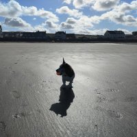 Sally Chesworth (@sallyches) 's Twitter Profile Photo Sally Chesworth (@sallyches) 's Twitter Profile Photo