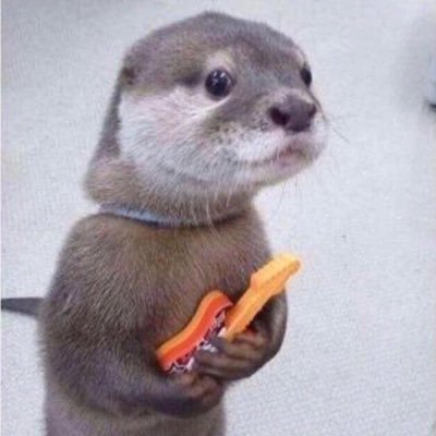 shouganotter's profile picture. Sunyata. Buddhist /Japanese otter. I love otters🦦. English - Private Account. Like funny memes and Buddhist history #FreeTibet