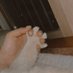 Take Meow Hand (@take_meow_hand) Twitter profile photo Take Meow Hand (@take_meow_hand) Twitter profile photo