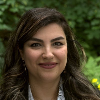 GolnazTaheri's profile picture. Ph.D in #CS. PostDoc in #Ml #deep_generative_model #HPC #embedded_system #data_science