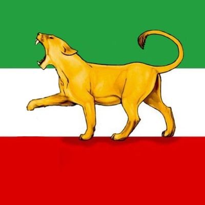 رو! رو! مُلّا رو! نا انسان! بی وجدان! رو! رو! ملا رو! آدمکش! وطن فروش! رو! رو! ملا رو!
کاملا سالم و بدون مشکلات جسمی روحی روانی، سوابق پزشکی.