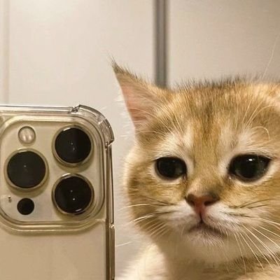 ItsOhne's profile picture. 26 | I make stupid tweets to see people get mad