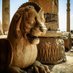 دلاک الممالک (@darioushhh) Twitter profile photo دلاک الممالک (@darioushhh) Twitter profile photo