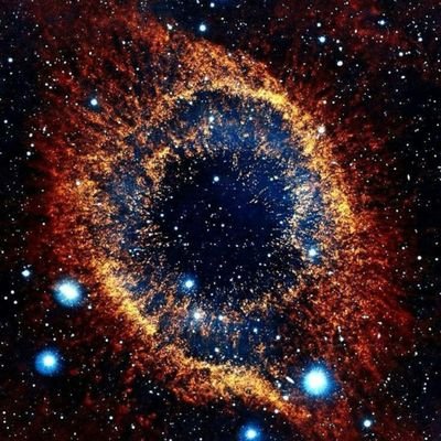 vaibhav_dutt's profile picture. 