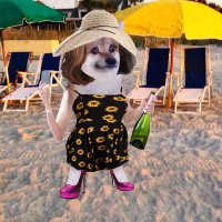 Kristi Burch (@k3burch) 's Twitter Profile
