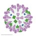 Avian Influenza @ Iqbal Lab (@influenza_avian) Twitter profile photo Avian Influenza @ Iqbal Lab (@influenza_avian) Twitter profile photo