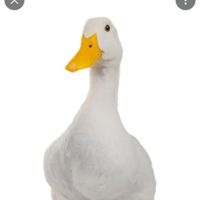 30 year old 9-5er. Total invested is $189,000 🐣