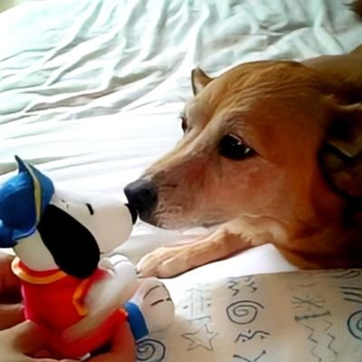 大人ゴーディアンズです🎵ずっとTwitterは見る専門でしたので不慣れですが宜しくお願いします✨無言フォロー、無言イイネ失礼します🙇
