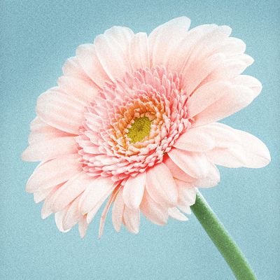 youguyasan's profile picture. 福祉用具貸与事業所に勤務して11年目。
勤務年数と知識が比例していないのが悩み。
同業者さんと繋がりたいです。
よろしくお願いします✨