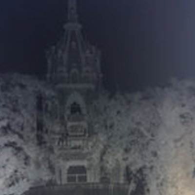 florasninos's profile picture. gloom, doom & bloom: https://t.co/IcXG4iPYC0