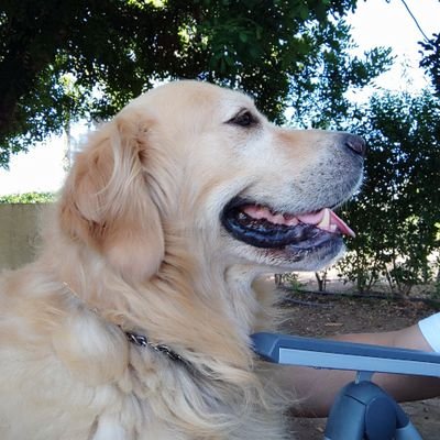 ivanrj74's profile picture. Serveis Informàtics