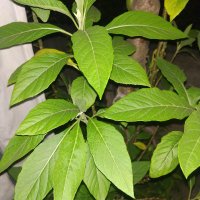 Kunal (@kunal70758860) 's Twitter Profile