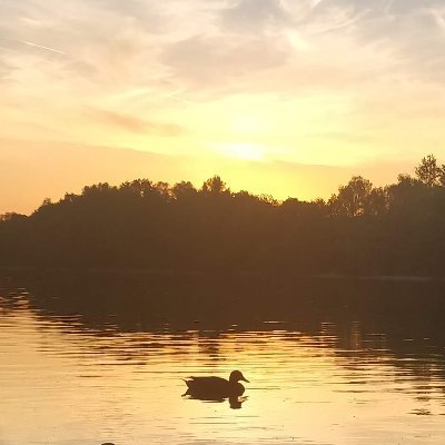 ahmadazimi's profile picture. 