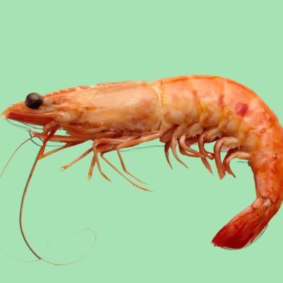 jullacrevette's profile picture. 