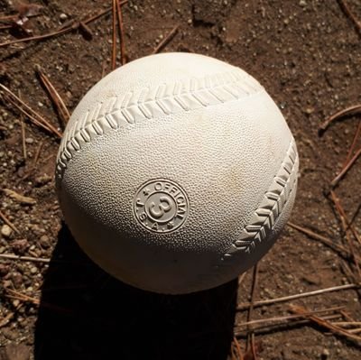 team_hanzo3715's profile picture. 介護福祉士／長女は春日部共栄高校野球部元マネージャーの大学生／16歳次女は高校でソフトボーラー🥎／米作り1年生の兼業農家／福島県が大好きなんだよなぁ／無言フォロー失礼します🙇