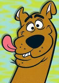 MatheusScherer's profile picture. AGRONOMIA - UFSM