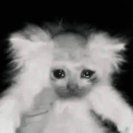 Imsadkat's profile picture. 