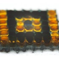 BIOE610 (@bioe610) 's Twitter Profile