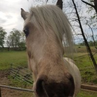 Scott (@scott1970c) 's Twitter Profile