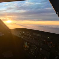 The flying red turtle (@mr_mcmo) 's Twitter Profile