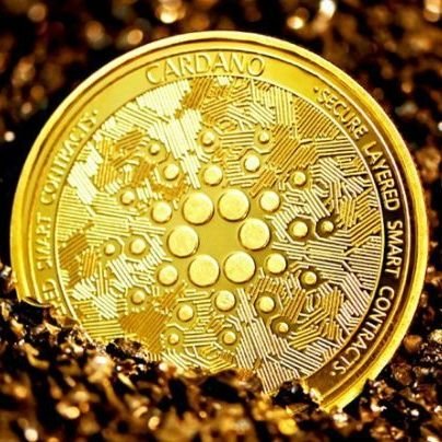 vinacds's profile picture. Finance, Crypto Market News
Understanding Cardano, CNT ecosystem and ADA Holders
Blockchain Developer in the Cardano ecosystem
