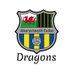 Exiles Dragons (@exilesdragons) Twitter profile photo Exiles Dragons (@exilesdragons) Twitter profile photo