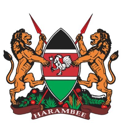 The National Treasury & Economic Planning Profile