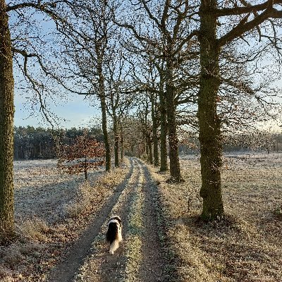 koen1892's profile picture. 