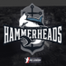 Hampton Hammerheads (@pblahammerheads) Twitter profile photo Hampton Hammerheads (@pblahammerheads) Twitter profile photo