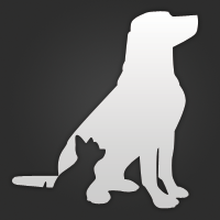 Lone Star Dog http://t.co/yBkgZRzt - expert Dog Trainer based in the areas Killeen, Texas Check out http://t.co/NqKoqHQr for more details!