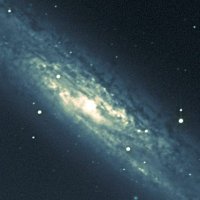 埼玉のイモ1号🌟🍠🐹 (@imo2022_cosmos) 's Twitter Profile