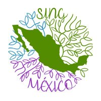 SING Mexico(@SING_MEX) 's Twitter Profile Photo