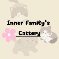 📍Inner Family’s Cattery(@NaNiJunG1998) 's Twitter Profile Photo