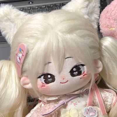 🎀 enhypen sunoo 20cm doll 🤍 9月