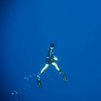 GracefullyBaked's profile picture. 