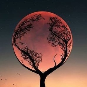 _favking's profile picture. mind like canvas