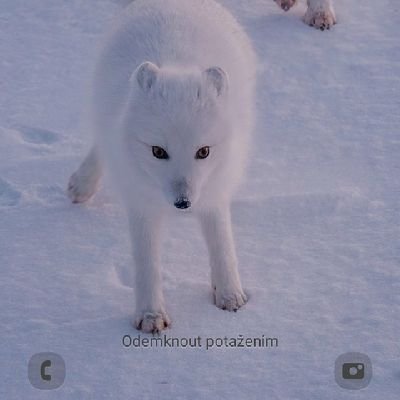 JamesHolden01's profile picture. 