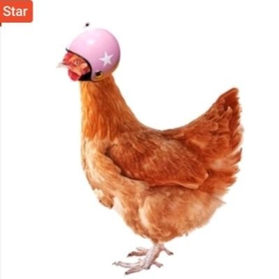 not_yocepie's profile picture. Stray_Kids & GFRD_official & GOT7Official